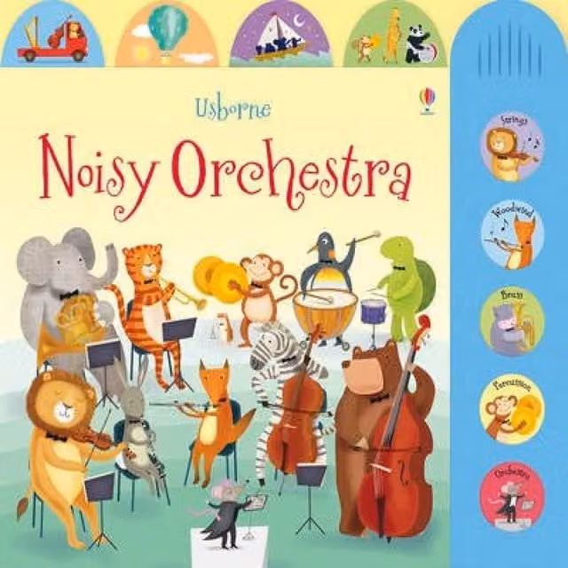 Sam Taplin Noisy Orchestra Multicolour Board Book
