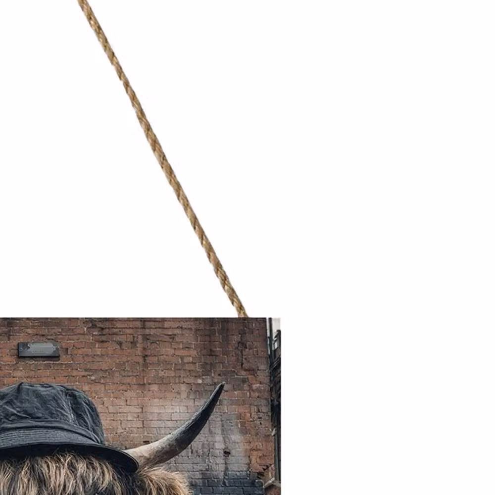 Pyramid International Noel Highland Cow Multicolour Wood Hanging Plaque – 2