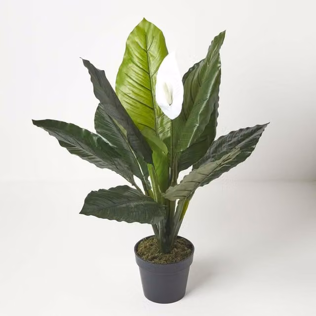 Homescapes Artificial White Peace Lily Plant in Green Pot, Height: 90 cm – 1