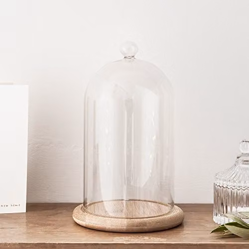 Lights4fun Transparent Glass Cloche Bell Jar Display Dome with Wooden Base, W/D/H: 20.5 x 20.5 x 12.5 cm – 1