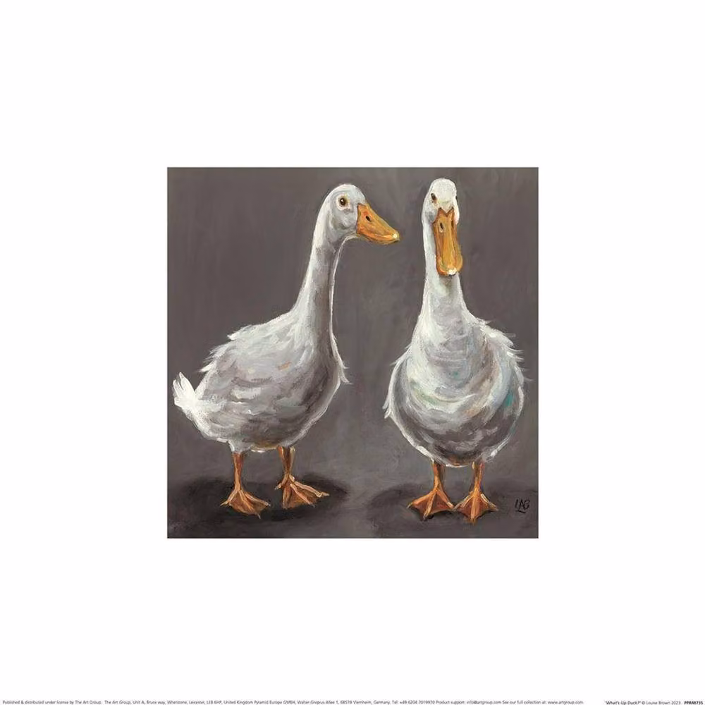 Louise Brown What's Up Duck Illustration Paper Poster in Grey – 2
