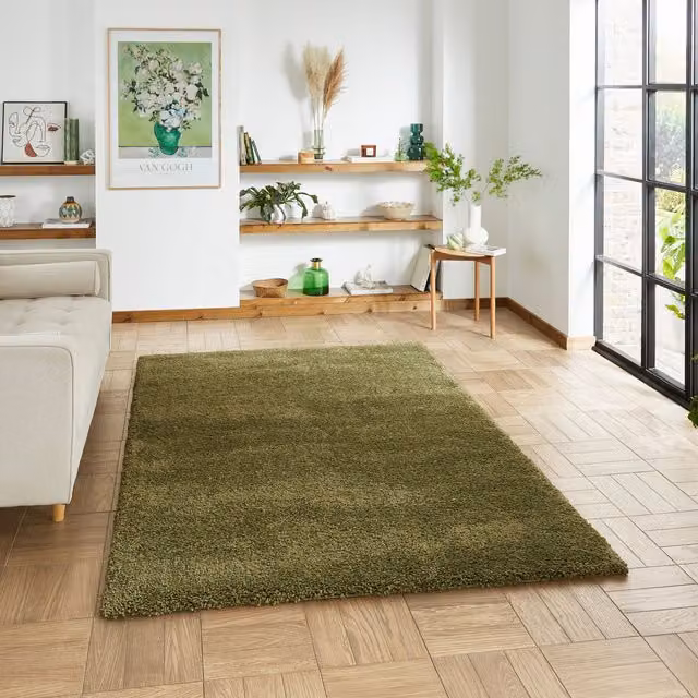 Terrys Modern Rectangular Shaggy Rug in Green Polypropylene with Stain Resistance
