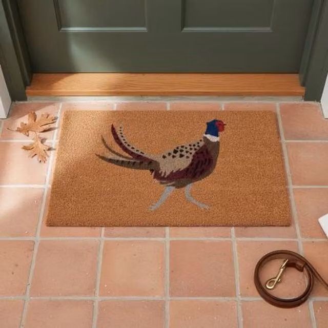 Madison & Mayfair Brown Coir Pheasant Doormat, W: 44 cm, D: 75 cm
