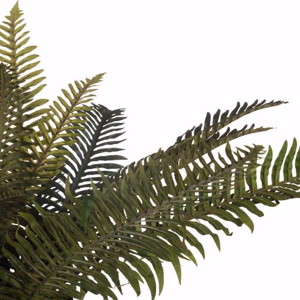Lemon Pavilion Green Fern Bunch Artificial Plant, W: 57 cm, D: 80 cm, H: 60 cm – 3