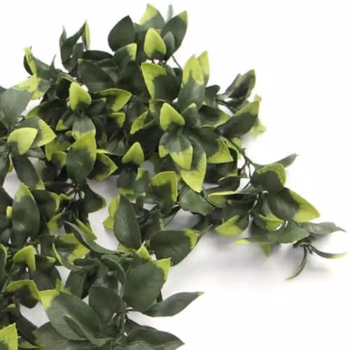 Green Leaf Hanging Artificial Pothos Plant with Heart Shaped Leaves, UV and Fire Resistant, Height: 71 cm – 2