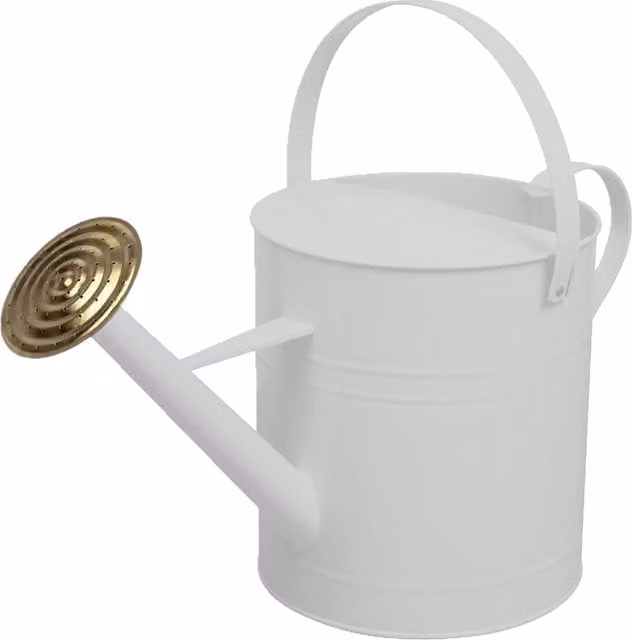 Simpa 9 Litre Metal Watering Can with Brass Rose in White