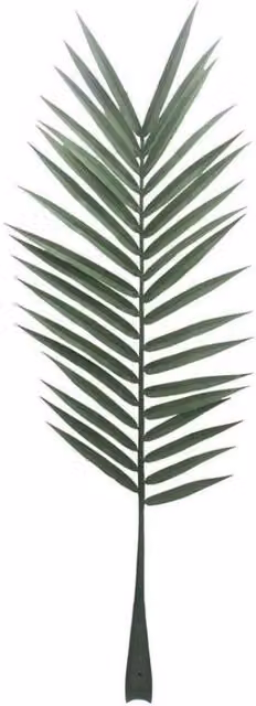 KDMD Botanica Modern Palm Leaf Plant, Green, Height: 147 cm