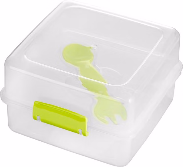 Orsina Leakproof Organised Lunch Box with Dividers and Cutlery, Transparent and Green – 1