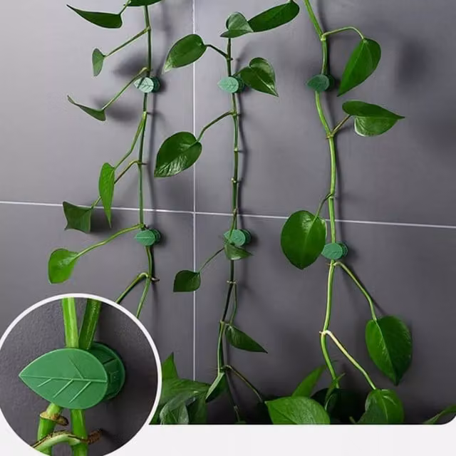 Marco Paul 50pc Plant Support Clips in Green