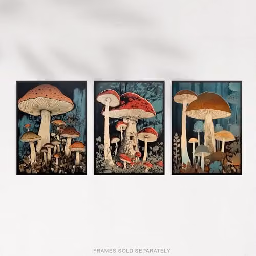 Artery8 Set of 3 Cep Mushroom Botanical Illustration Paper Poster Prints, Multicolour, W: 21.0 cm, H: 29.7 cm – 4