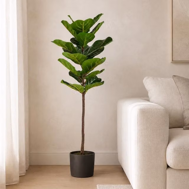 Botanik UK Green Premium Artificial Fiddle Fig Tree, Height: 120 cm
