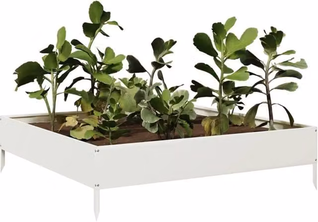 Berkfield Home Garden White Steel Raised Bed W/D/H: 100 x 100 x 26 cm – 1