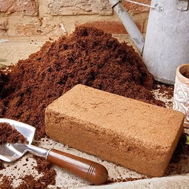 Rowan 2 x Brown Coco Peat Compost Bricks Potting Soil