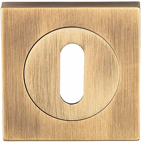 Loops Square Lock Profile Escutcheon in Antique Brass with Concealed Fix – 1