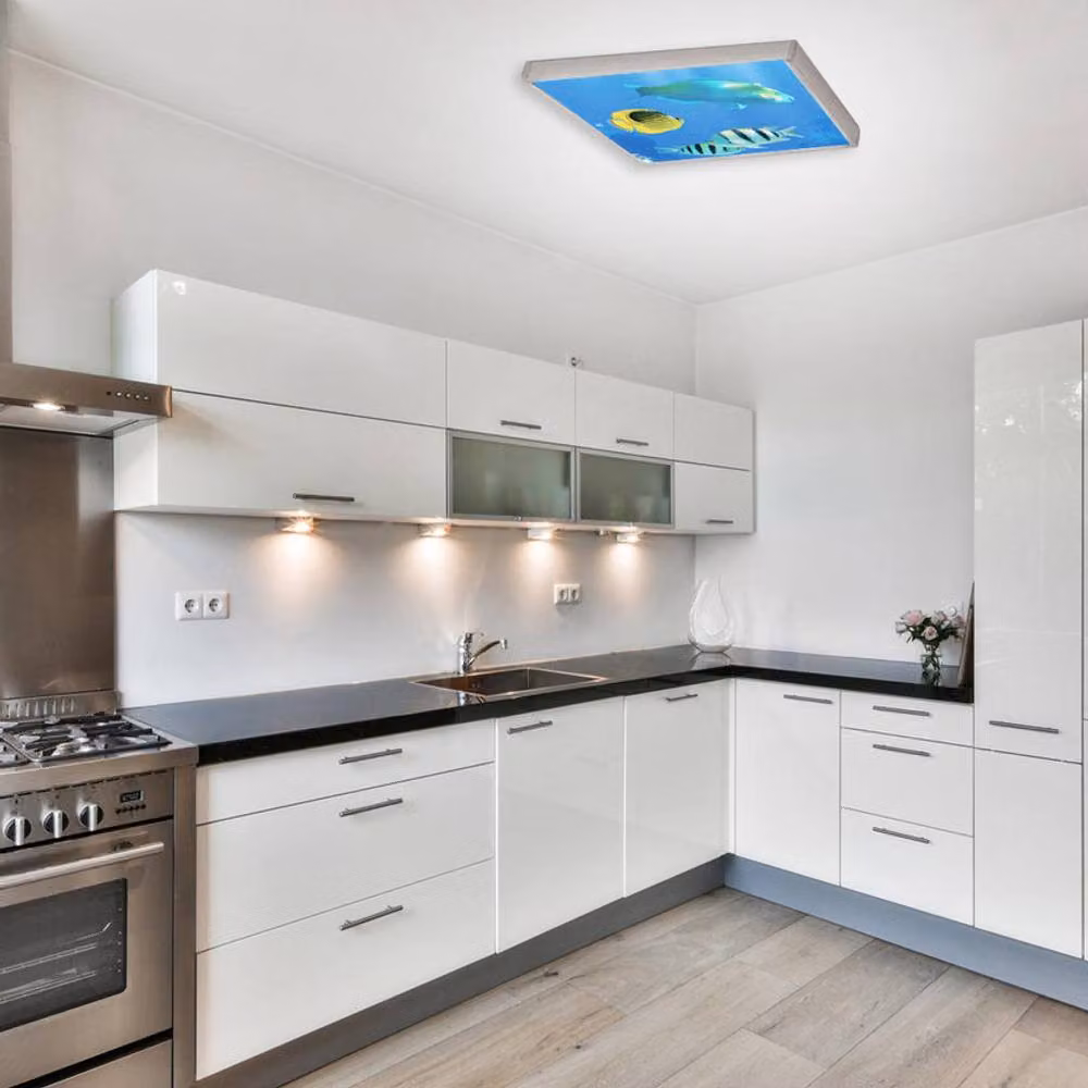 ENER-J Marine LED 2D Ceiling Light, White, W/D/H: 60 x 60 x 60 cm, 40W – 3