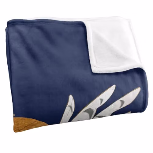 Warner Bros. Harry Potter Hedwig and The Moon Super Soft Silky Touch Fleece Throw Blanket, Multicolour, W: 152.4 cm x D: 127.0 cm – 2
