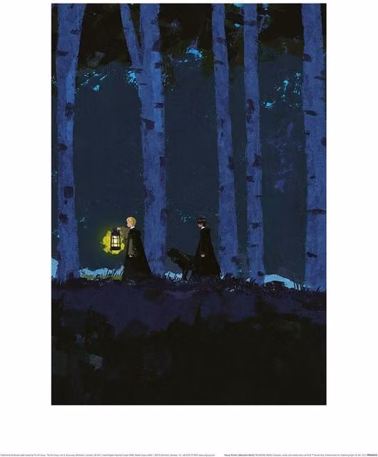 Harry Potter Wooded Walk Paper Poster in Navy Blue – 1