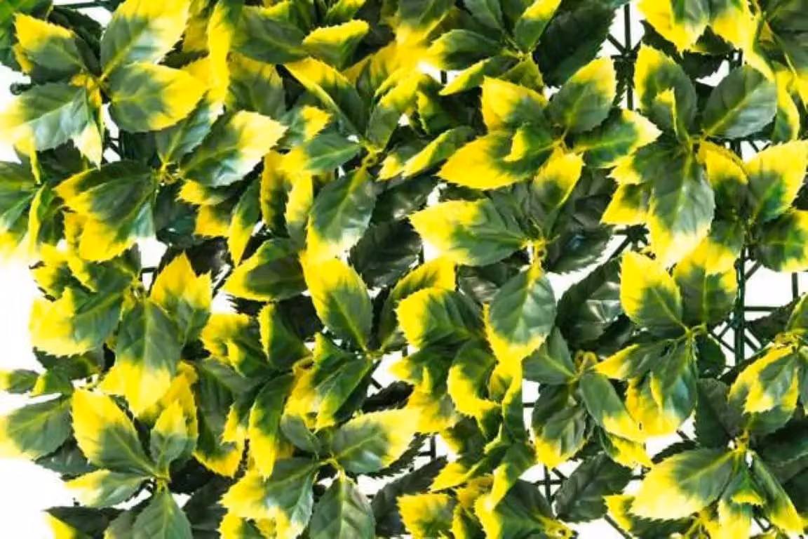 Primrose 16-Panel Artificial Leaf Hedge for Outdoor Patios in Green and Yellow, W/H: 50 x 50 cm – 3