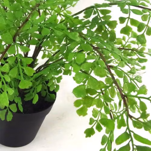 Leaf Artificial Potted Fern Plant in Green and Black, Height: 45 cm, Width: 35 cm – 3