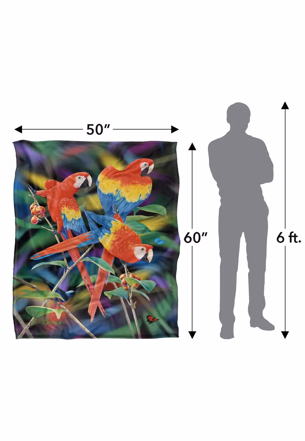 JQ Licensing Royce McClure Macaws Silky Touch Super Soft Fleece Throw Blanket, Multicolour, W: 152 cm, D: 127 cm – 6