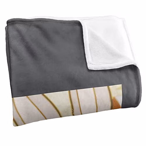 LOGOVISION Looney Tunes Fluffy Microfibre Fleece Throw Blanket, Multicolour and White, W/D/H: 152 x 127 x 1 cm – 2