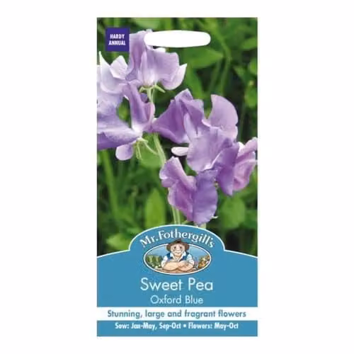 Mr Fothergill's Oxford Blue Sweet Pea Flower Seeds