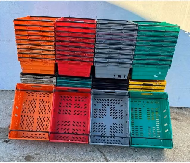 PAWNORA Stackable Plastic Storage Boxes in Multicolour