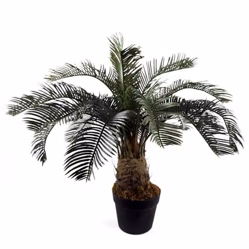 Leaf Design UK Green Artificial Cycas Palm Plant, Height: 60 cm