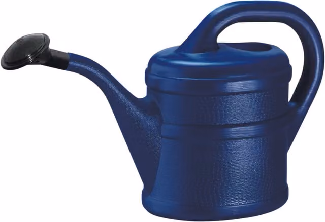 Green Wash Modern Manual Indoor Watering Can with Rose in Blue or Black