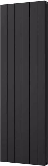 Thetford Black Vertical Double Panel Smooth Aluminium Radiator, W: 56.0 cm, H: 180.0 cm