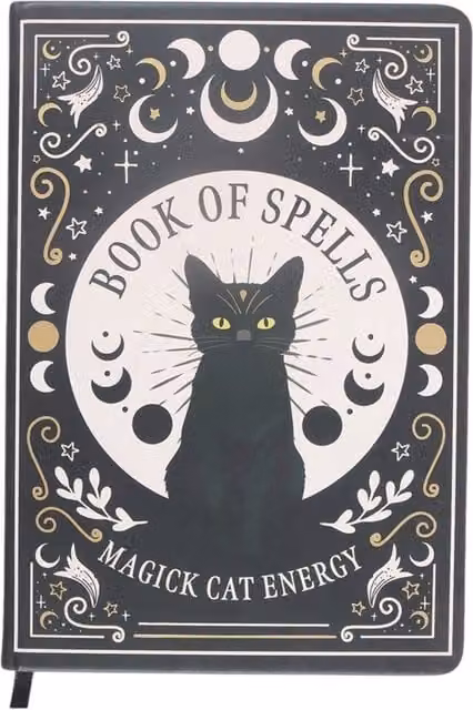 Kingsbury Gifts Magical Cat Hardcover Notebook Journal in Black