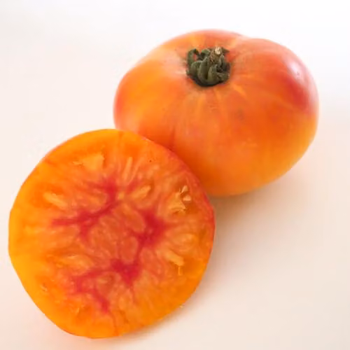 Thompson and Morgan Tomato Buffalosun F1 Outdoor Cordon Variety Seeds, Amber Marbled Fruit, 8 Seeds – 2