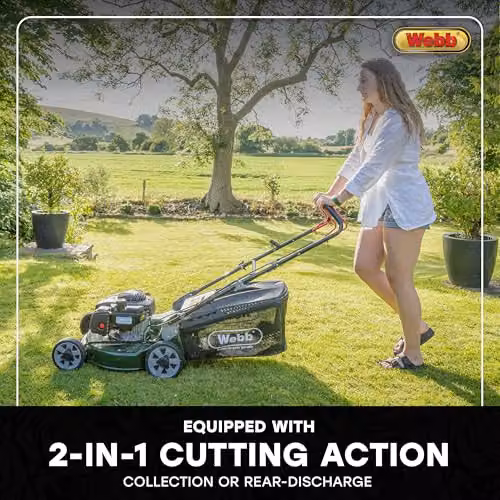 Webb Supreme 46cm Petrol Rotary Lawnmower in Green with 65L Collection Bag – 10