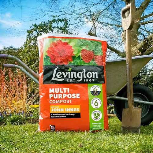 Levington Peat Free Multipurpose Compost for Ornamental and Vegetable Gardens, 40 Litres, Brown – 3