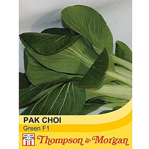 Thompson and Morgan Pak Choi Green F1 Hybrid Fast-Growing Vegetable Seeds