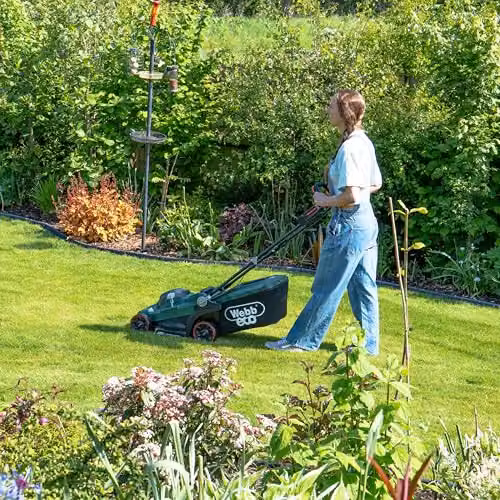 Webb Eco 20V Green Brushless Cordless Lawnmower with 33cm Cutting Width, 35L Collector and Rechargeable Battery and Charger – 7