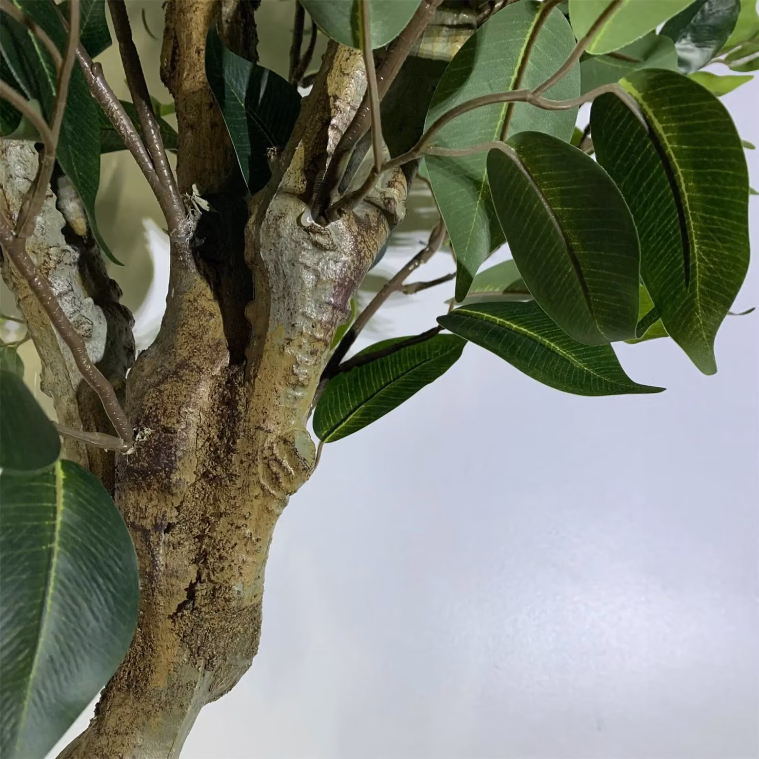 LeafUK 100cm Premium Artificial Ficus Twist Tree in Green – 2