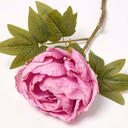 Homescapes Artificial Pink and Yellow Peony Floral Stem – 2