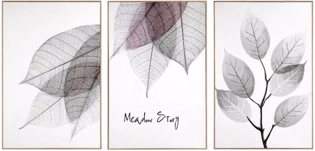 Nielsen Design Set of 3 Framed Botanical and Floral Wall Art Prints in Sand and Multicolour – 1