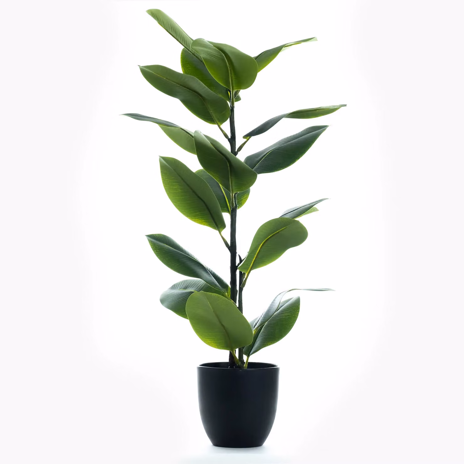 Scottish Everlastings Ltd 85cm Real Touch Green Rubber Tree – 2
