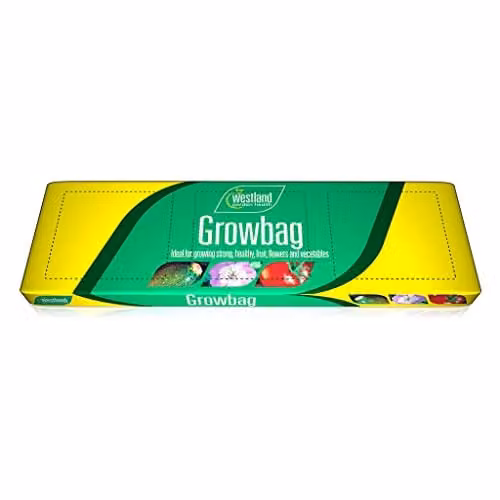 Westland Multicolour Growbag Planter, 50 g