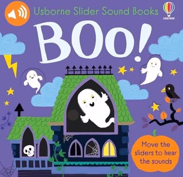 Sam Taplin Slider Sound Book Boo Multicolour Paper Board Book