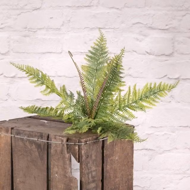 KDMD 3 Pack Plastic Potted Boston Fern Bush in Green