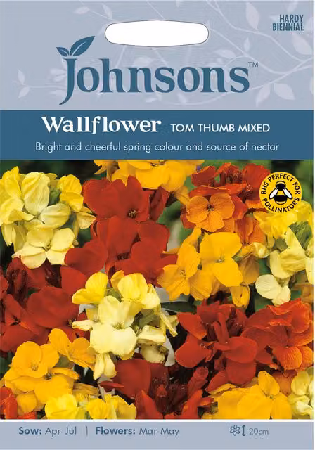 Johnsons Tom Thumb Mixed Wallflower Multicolour Flower Seeds