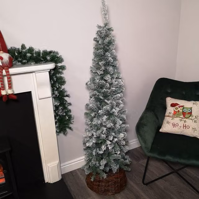Premier Decorations Green Snow Flocked Slim Spruce Pine Christmas Tree, Height: 170 cm