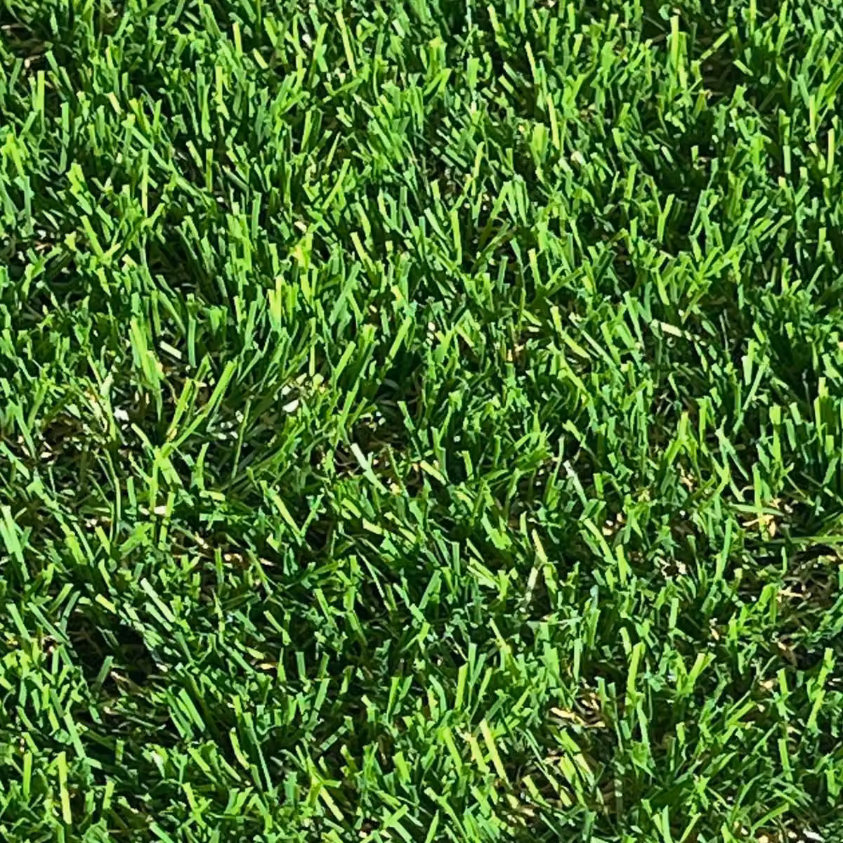Fairhaven 38mm Artificial Grass in Green, W: 100 cm, L: 400 cm – 4