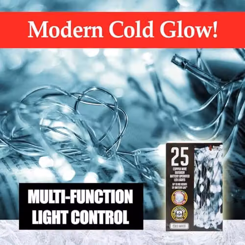 VFM Outdoor White Copper Wire Christmas Lights with 25 LEDs – 6