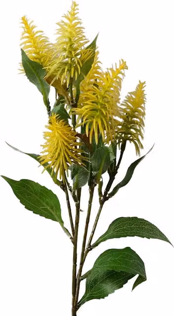 Yellow Callistemon Pallidus Bottle Brush Artificial Floral Stem with Plastic Leaves