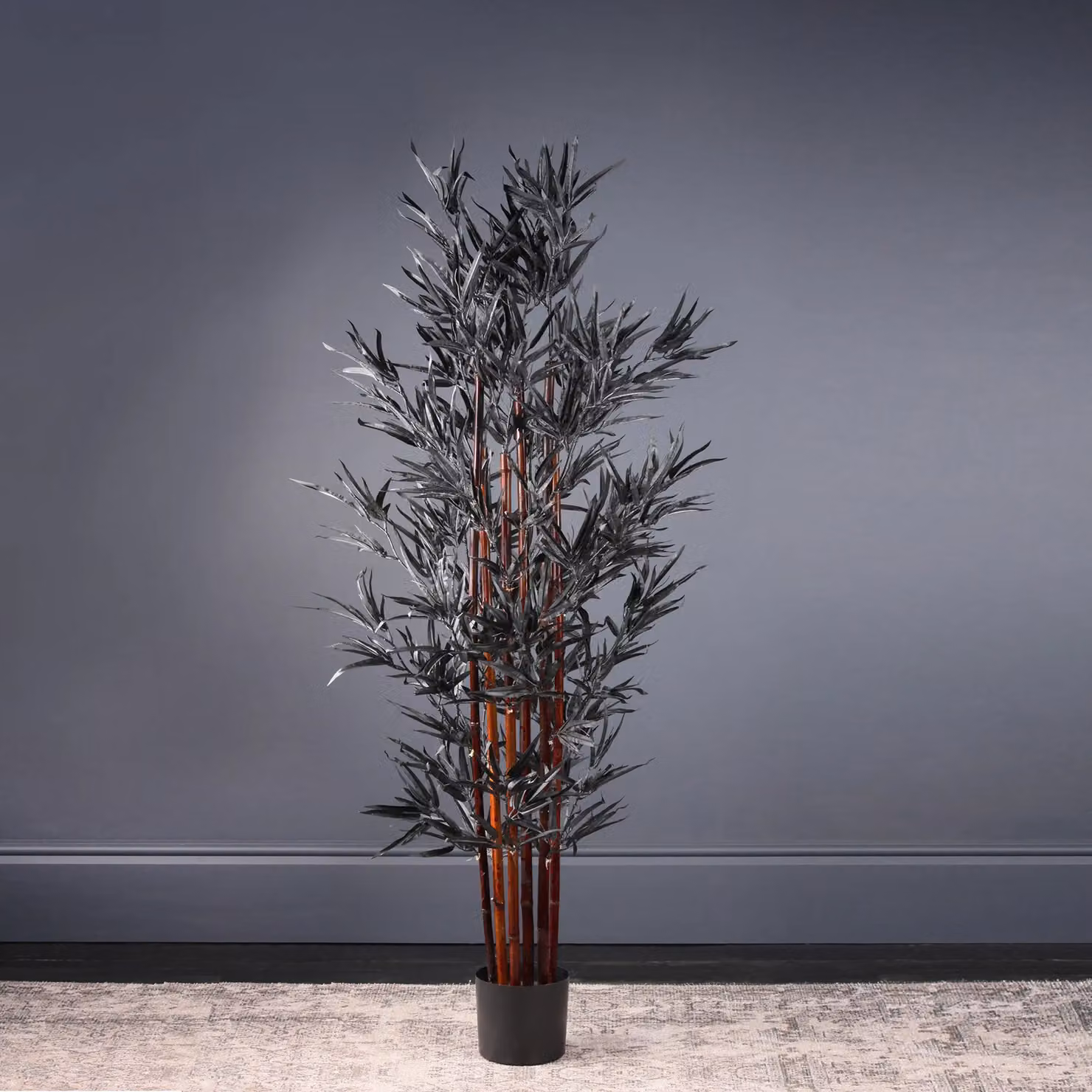 Scottish Everlastings Ltd Black Bamboo Tree, Height: 157 cm – 2