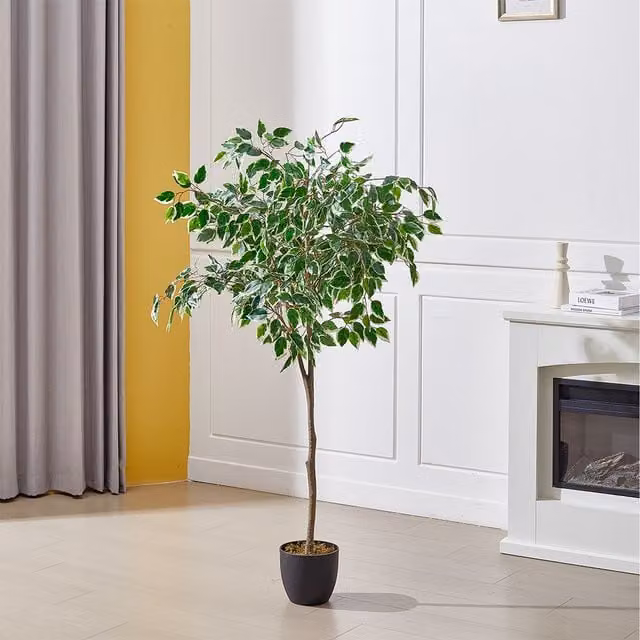 Lifeideas Decorative Artificial Ficus Tree in Green, Height: 150 cm, Width: 65 cm
